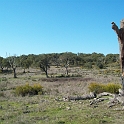 2009_portugal 235